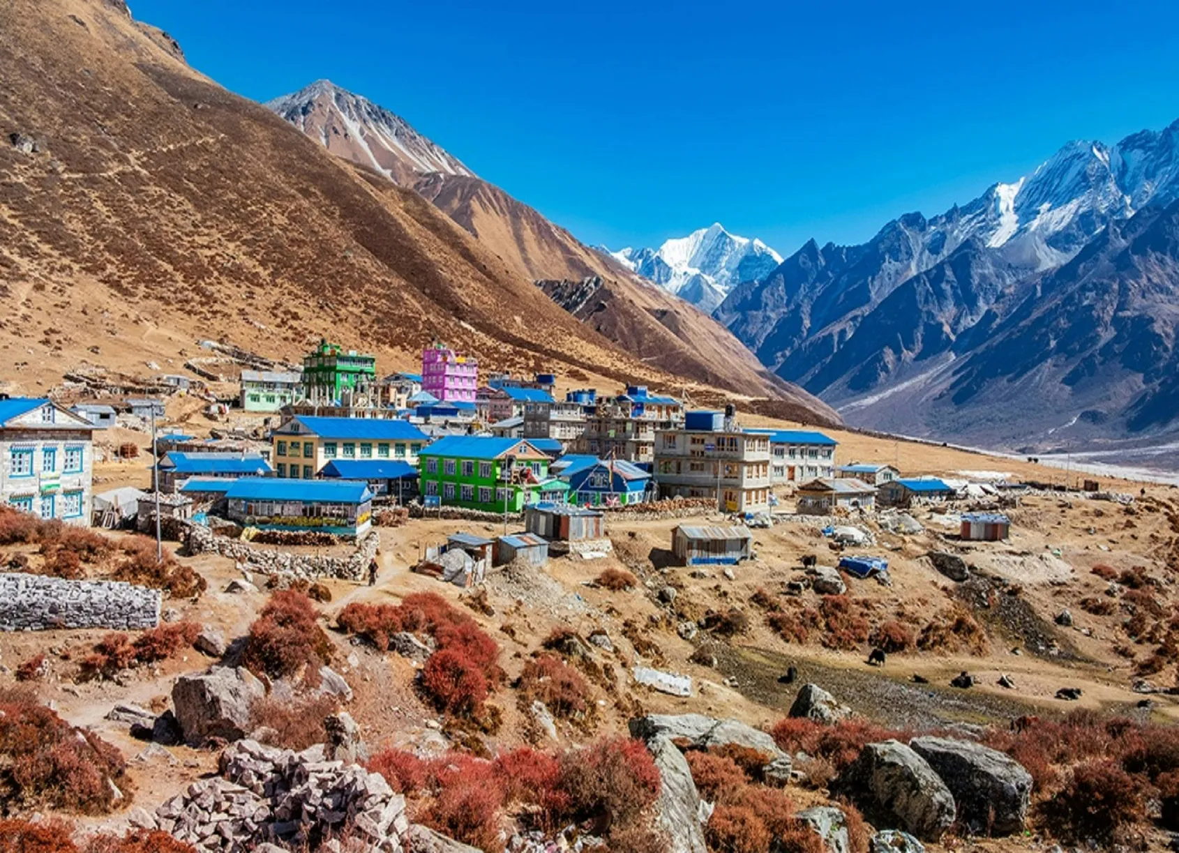 Langtang Valley Trek – Culture, Mountains & Adventure — hero photo