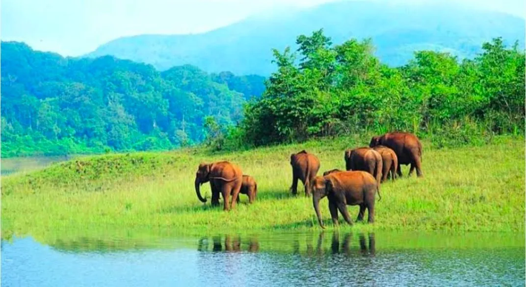 Flawless Kerala Explore — hero photo