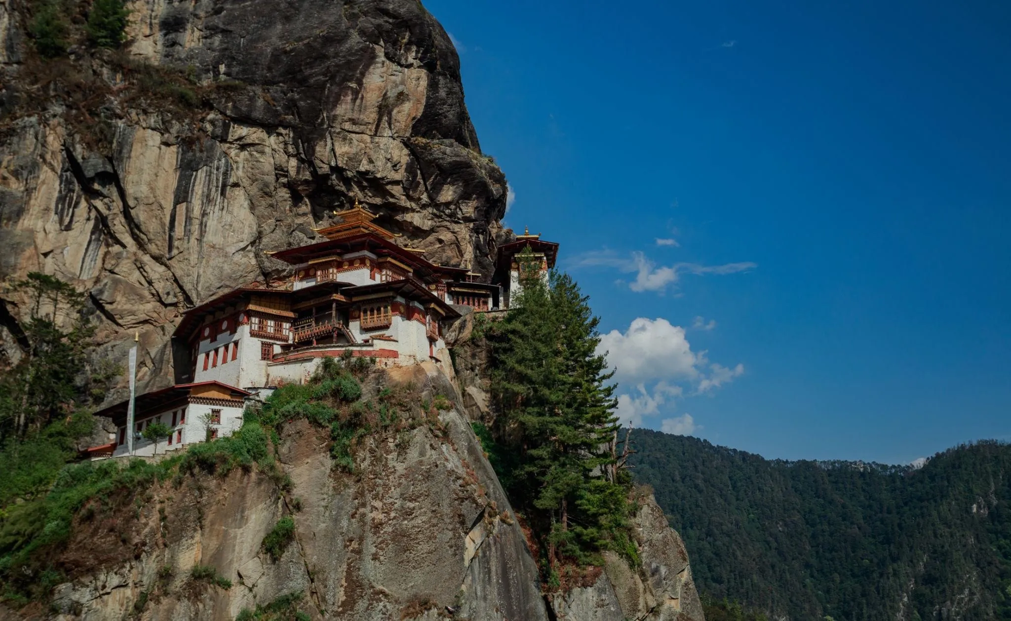 Mystic Himalayan Escape — hero photo