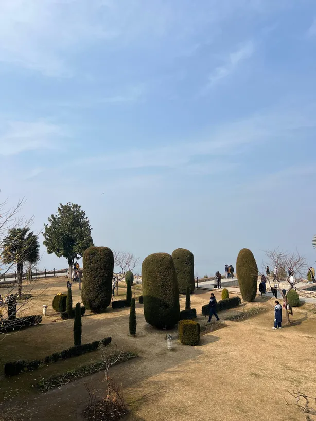 Glorious Kashmir Family Tour — photo 5