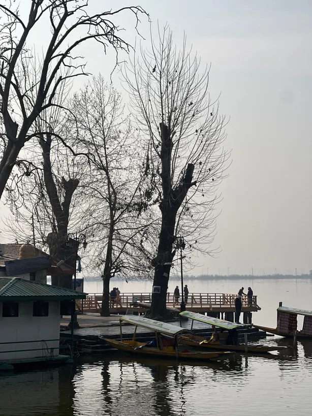 Glorious Kashmir Family Tour — photo 4