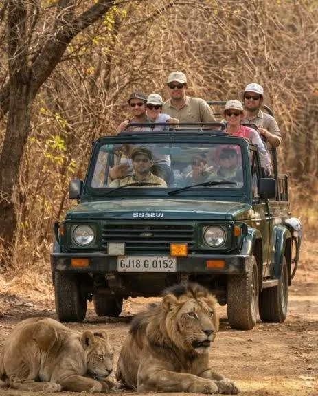 Incredible Gujarat Tour — photo 4