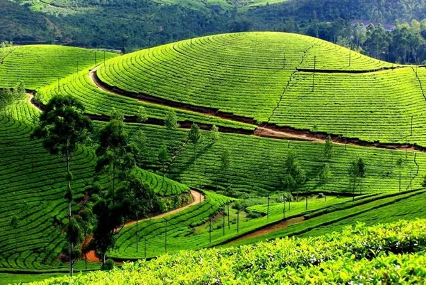 3 Night 4 Days Kerala Tour — photo 5