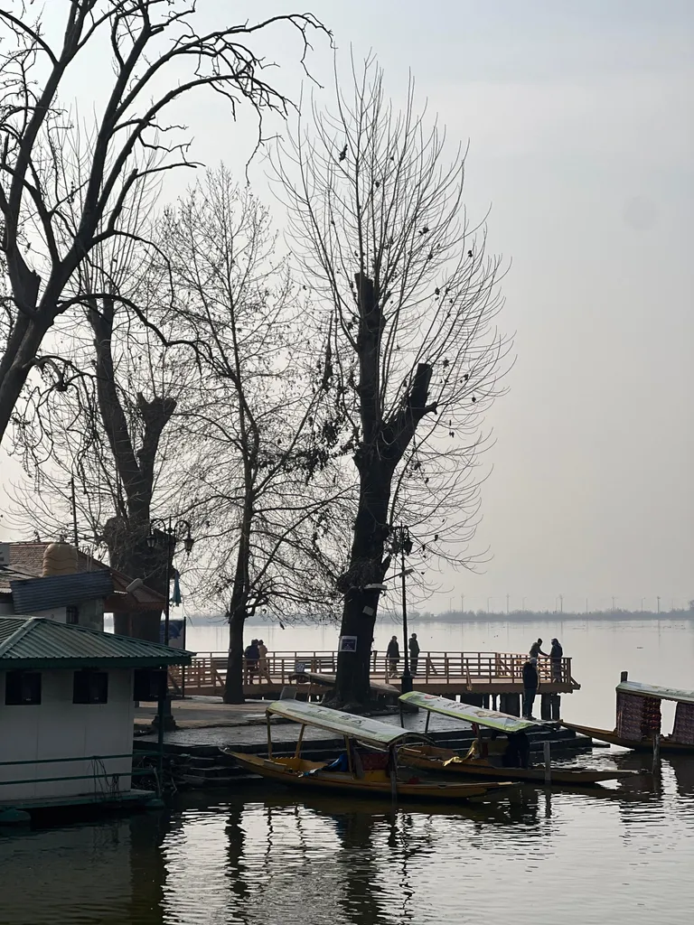 Glorious Kashmir Family Tour — photo 4