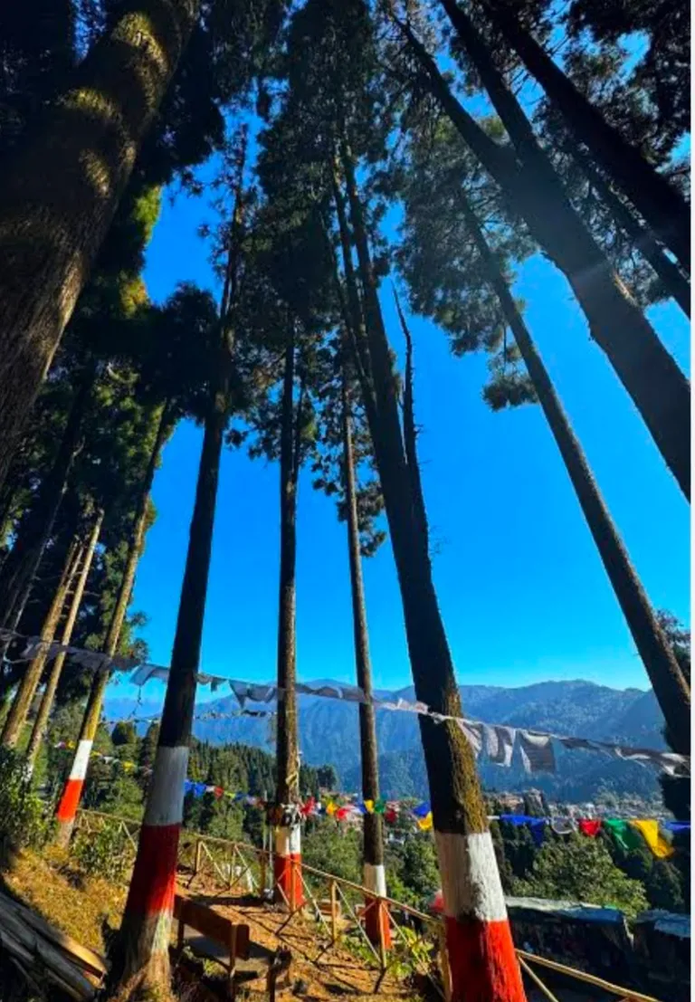 Kalimpong & Darjeeling Combo Tour — photo 4