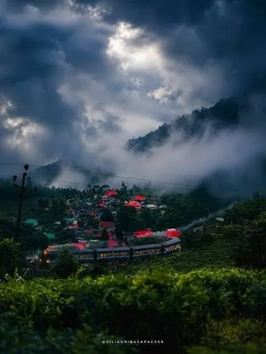 Darjeeling 3 Night 4 Days — photo 3
