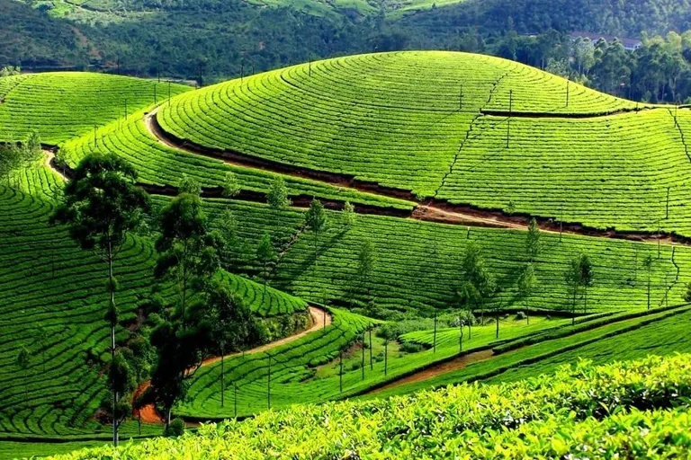 3 Night 4 Days Kerala Tour — photo 5