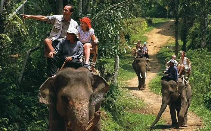 Kerala Diwali Group Tour Packages — photo 4