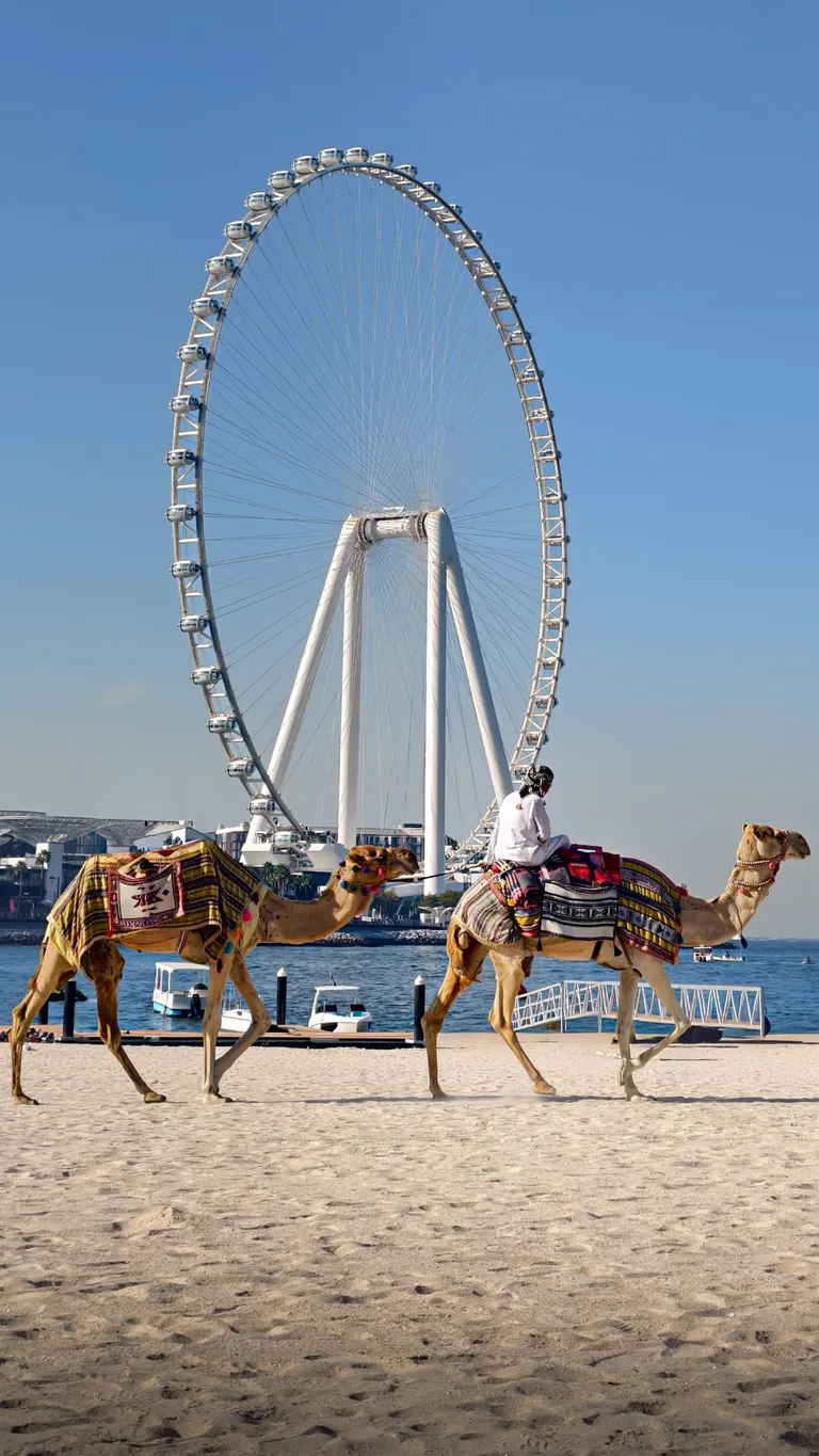 Simply Dubai — photo 4