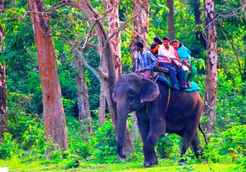 Dooars Exotic Tour
